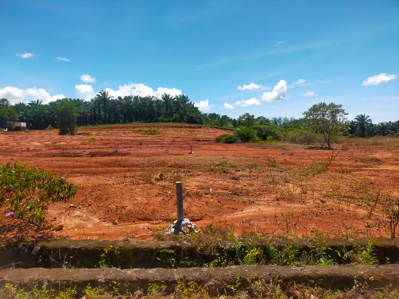 Foto Lahan Kavling Tanpa DP Bengkulu